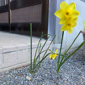 第９１回 zen café 定例坐禅会　【毎日少しずつ良い自分になる為に悩んでいる？】（松本市 中町・蔵シック館開催)