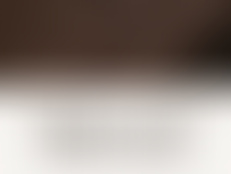 Agence ou Freelance pour la gestion des réseaux sociaux : que choisir ?