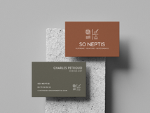 Identité Visuelle So Neptis | Peinture, Plâtrerie, Revêtements Lyon - Graphiste Inceptia
