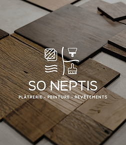 Logo SO NEPTIS graphiste ouest lyonnais graphiste lyon