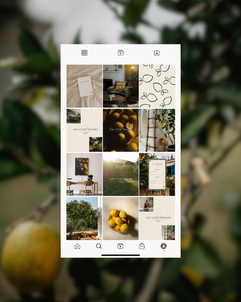 Feed Instagram Logo identité visuelle maison de charme provence gîte maison d'hôtes