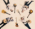 Quartet and different types of guitars