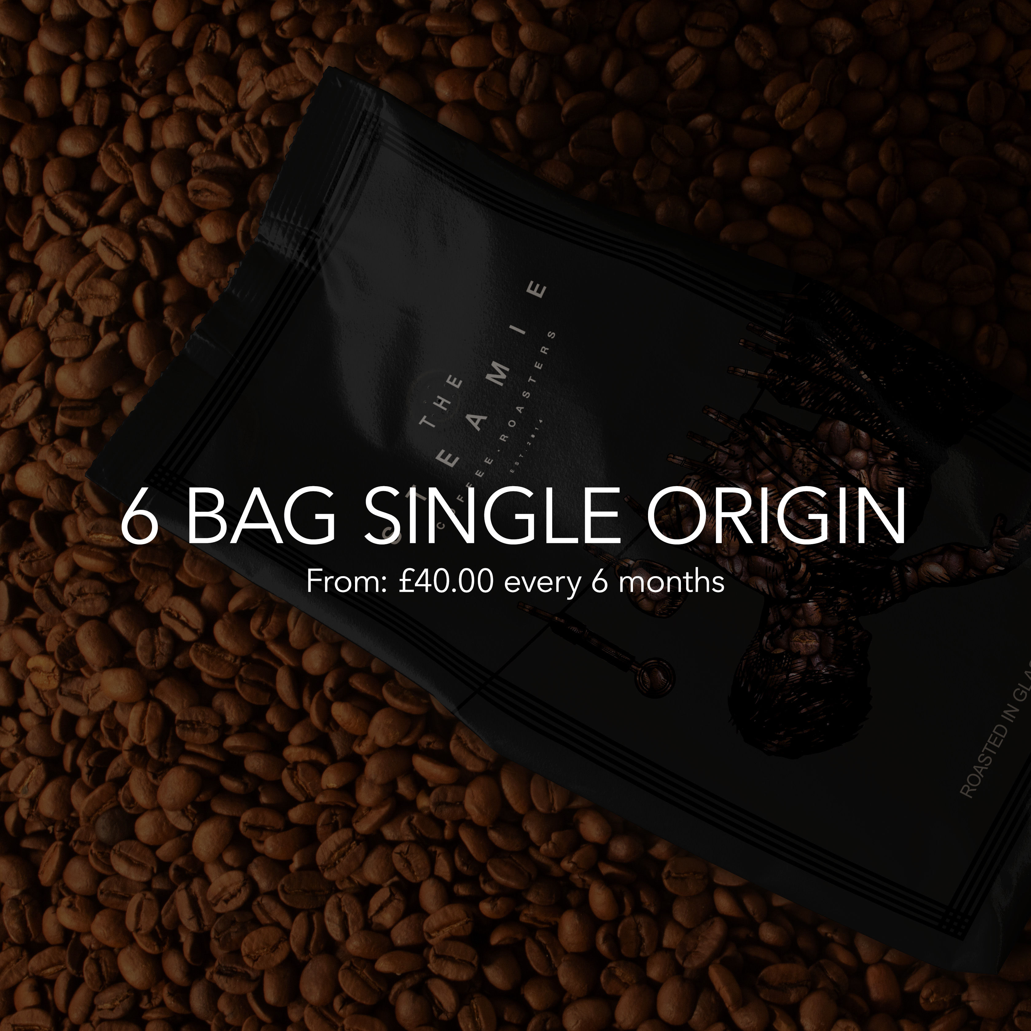 6 Bag Single Origin