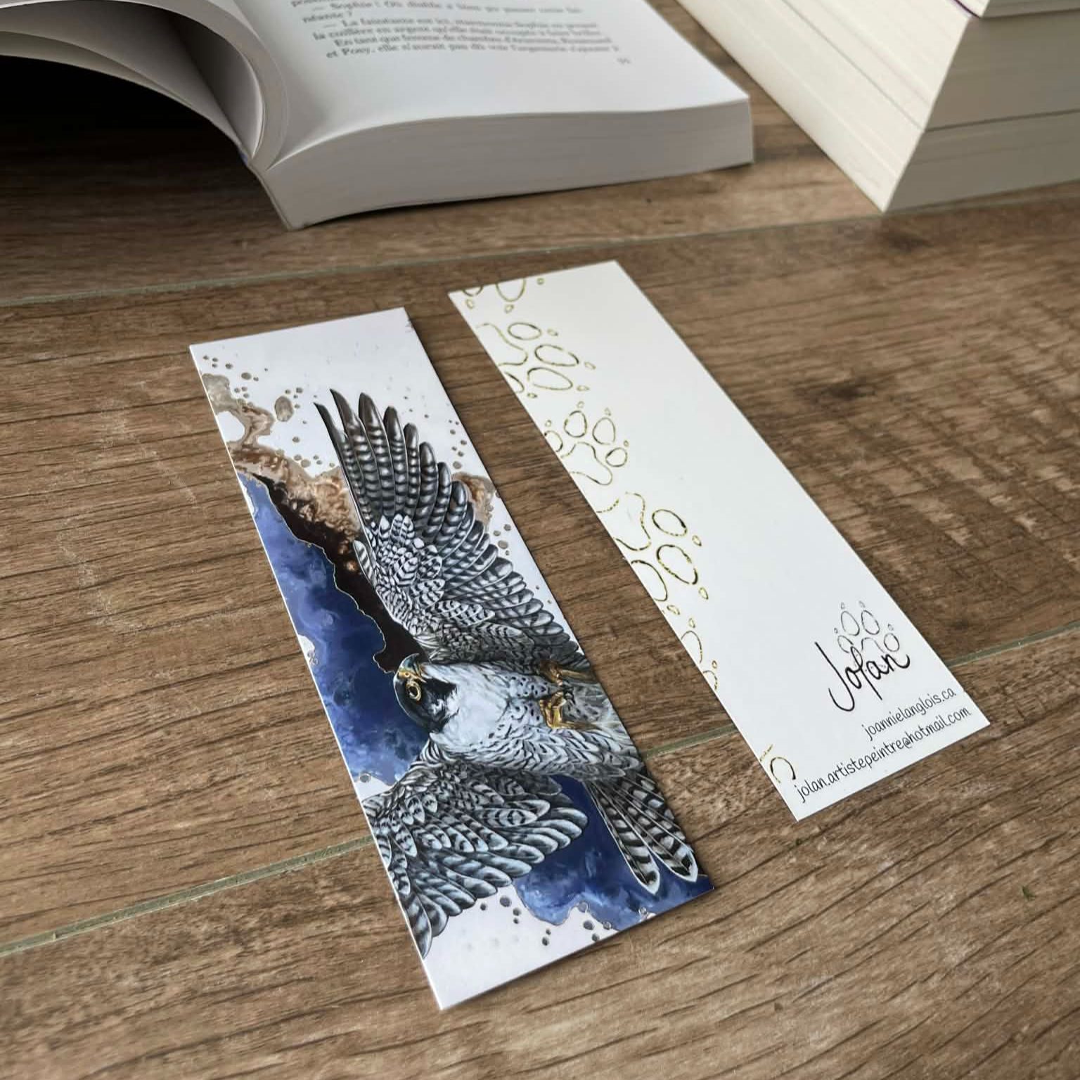 SIGNET -Faucon pélerin