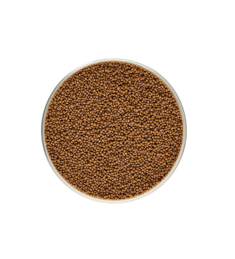 Thumbnail: Flower Horn Pellets