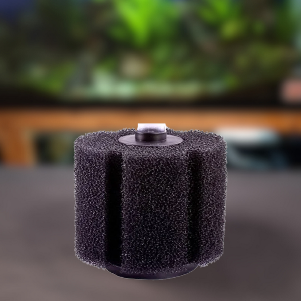 Bio-Schwammfilter Für Aquarien – Mechanische & Biologische Filtration Für 3,5-4,5 Liter Becken – Leicht Zu Reinigen (XY-380)