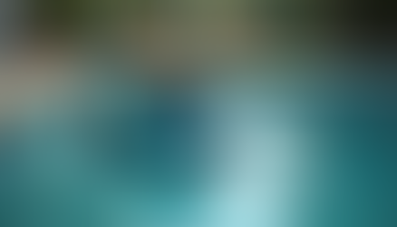 Unveiling the Essential Benefits of Self Suction Surface Skimmers for Aquariums in Pune