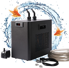 Using Aquarium Chillers