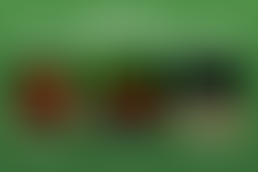 Guide to Freshwater Invertebrates: Snails, Shrimp, & Crayfish for Your Aquarium.