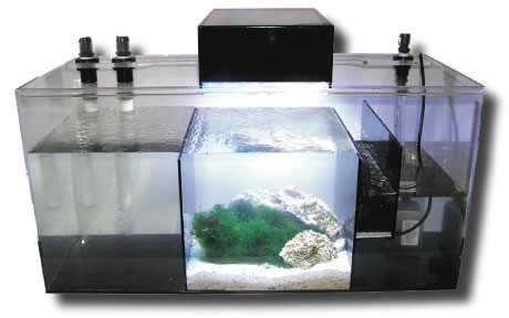 DIY: Building A Refugium