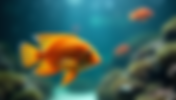 Best Aquarium Shop in Pune: What to Check Before Buying Fish