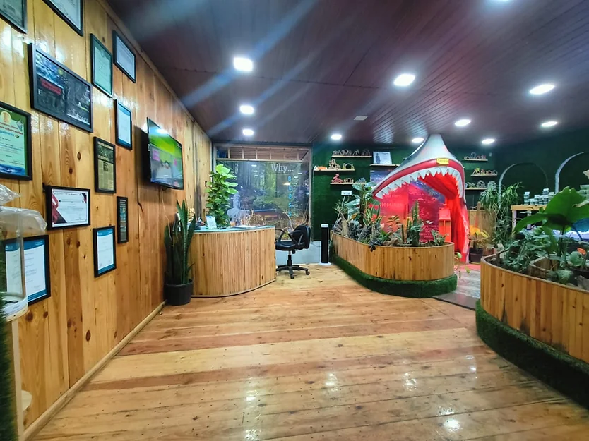 Blessings Aquarium - Where is the Best Place to Buy Live Aquarium Fish?