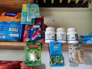 Using Medications In Your Tank