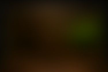 How to Create an Amazon River Biotope in Your Aquarium ?