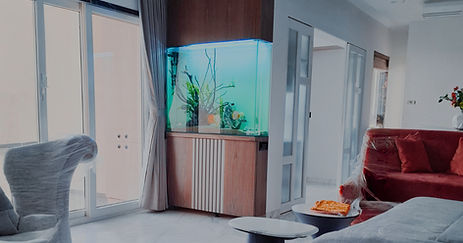 3 feet Customized fish tank in Pune.