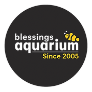 Blessings Aquarium logo