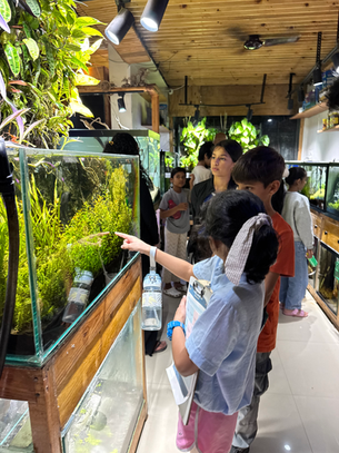 Best Aquarium Shop in Pune for Beginners: What to Check Before Buying