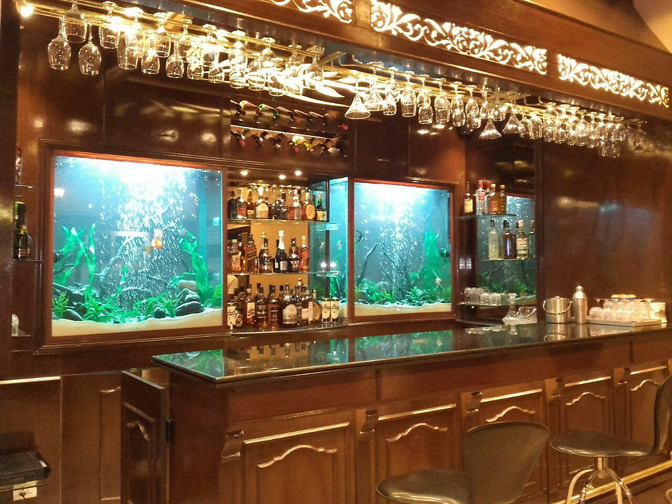 Bar concept fish tank - designed by Blessings Aquarium