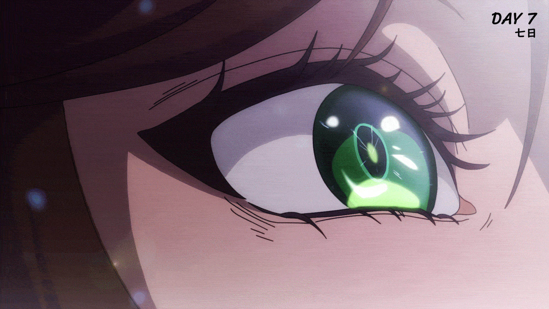 Compressed Day 7.gif