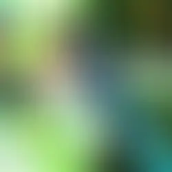 MC Livinho e MC Hariel se apresentam na Suhai Music Hall neste domingo