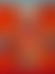 Festival Tão Ser Tão I Parque Ibirapuera