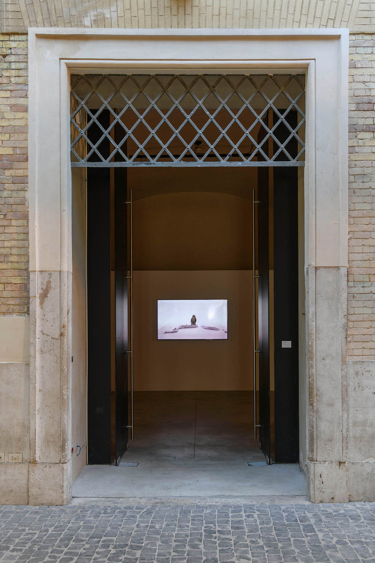 catalina swinburn, Rome exhibition