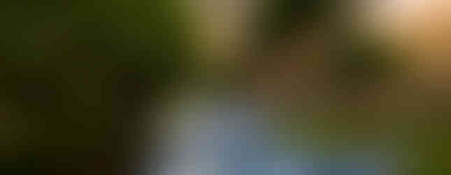 esposizione collettiva con: Michelangelo Piatoletto, Micaela Lattanzio, Claudio Beorchia, Maria Grazia Carriero, Guendalina Salini, Alice Padovani, fabulism