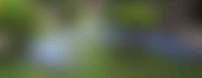 esposizione collettiva con: Michelangelo Piatoletto, Micaela Lattanzio, Claudio Beorchia, Maria Grazia Carriero, Guendalina Salini, Alice Padovani, fabulism