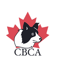 CBCA Logo.png