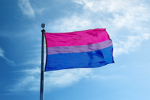 Bi Pride Flag (Purchased).png