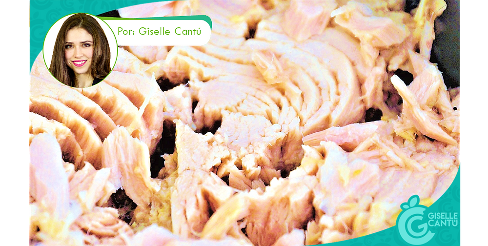 ¿El atún es sano? ¿Filete de atún o enlatado?