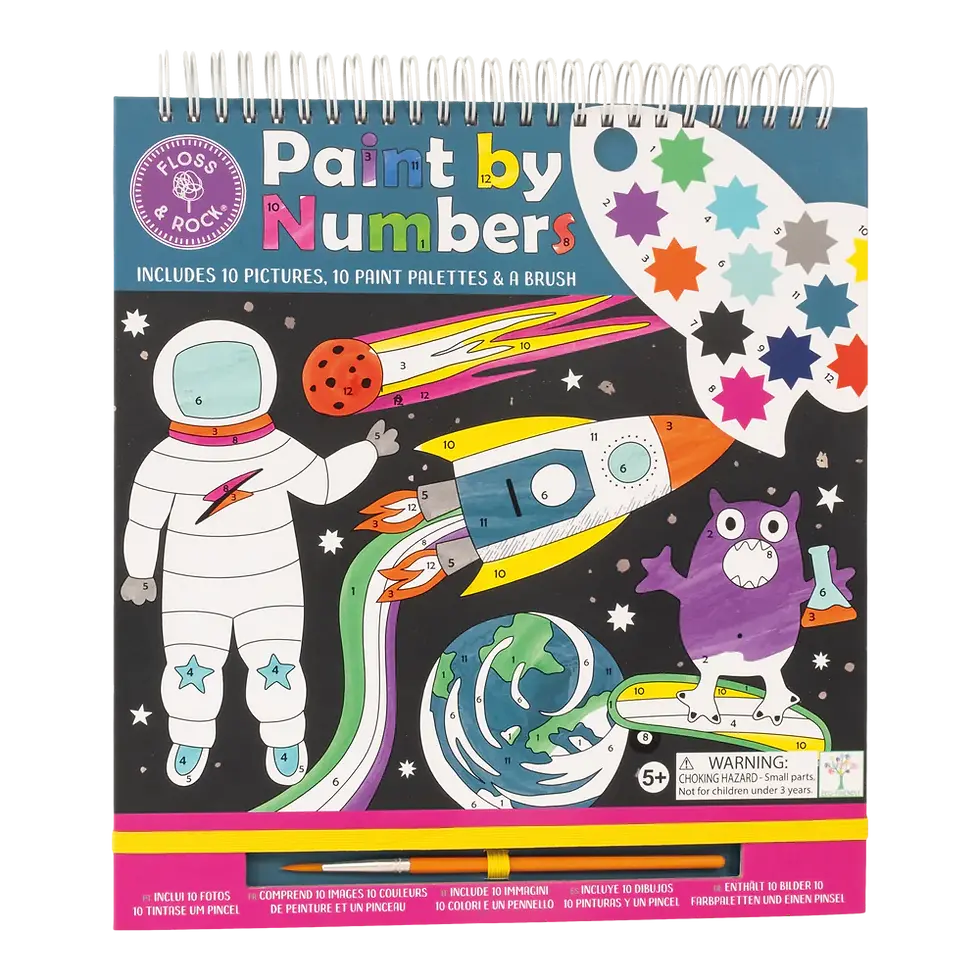 Floss & Rock Paint By Numbers - Space