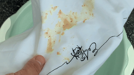 wash_crop.gif