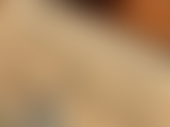 Do You Really Understand Your Mortgage?