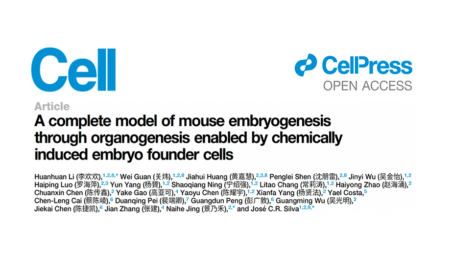 Screenshot 2025-08-01 at 10.19.02.png