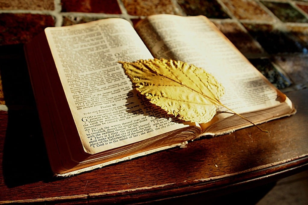 International_Bible_University_Fort_Worth_Texas.jpg