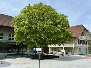 Sanierung Schlossgut Dezember 2025 bis Juni 2026