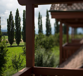 Hotel Schloss Gerzensee Ausblick über Hotelzimmer-Balkone mit Silberpappeln im Hintergrund
