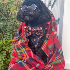 4C98AAAD-DA24-4530-BF37-4F3A30FEF09B 3.jpg