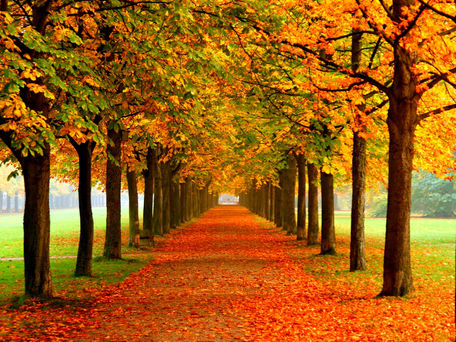 October Newsletter