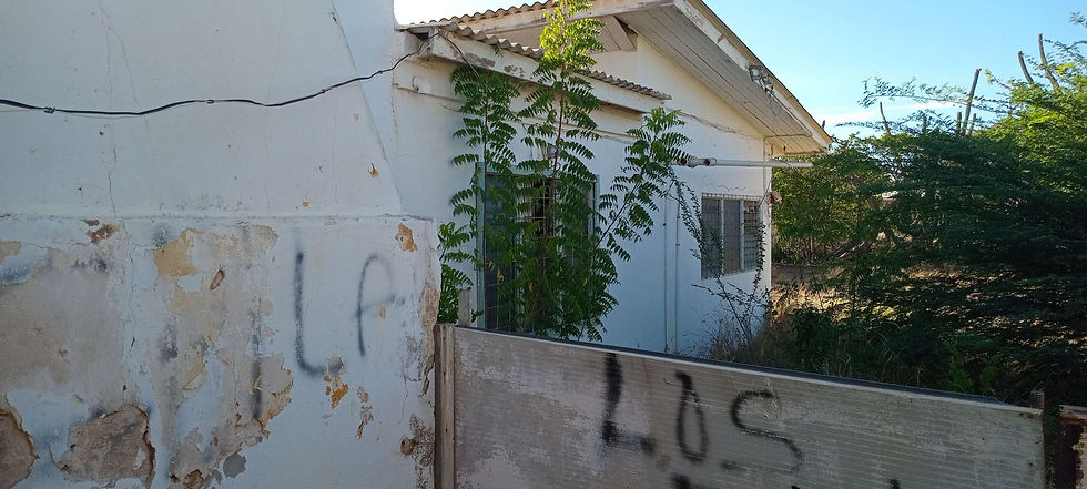 Thumbnail: SOLD ! House with shop business premises