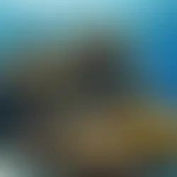 Exploring the Great Barrier Reef: A Natural Wonder of the World