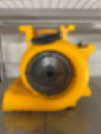 Simpukka Puhallin – pieni