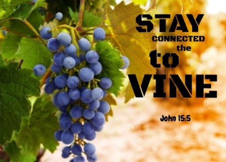The Fruitfulness of Staying Connected