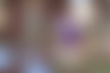 Who is the Shepherd? - Author Unknown