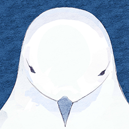 ぼくのおなかのなかにはね