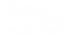 JaguarLogo.png