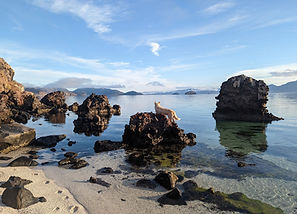 Healing retreat site on the beach.