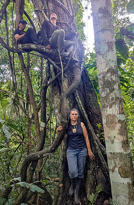 Lianas de la selva amazónica peruana durante una excursión para estudiar plantas medicinales.