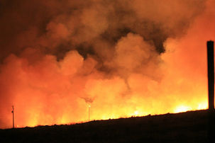 Working for Wildlife: Fighting Fire with Fire